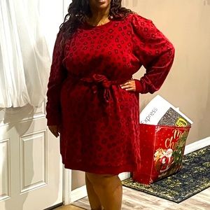 Cranberry Sweater Dress with Tie